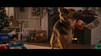 Chewy Com Christmas Commercial 2022 Chewy.com Tv Spot, 'Prices Holiday' - Ispot.tv