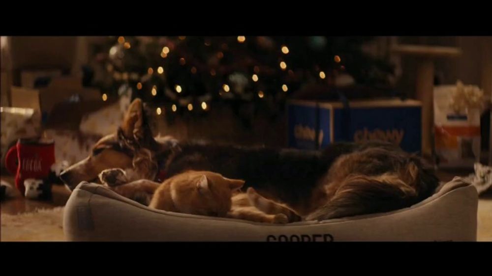 Chewy Com Christmas Commercial 2022 Chewy.com Tv Spot, 'Assortment Holiday' - Ispot.tv